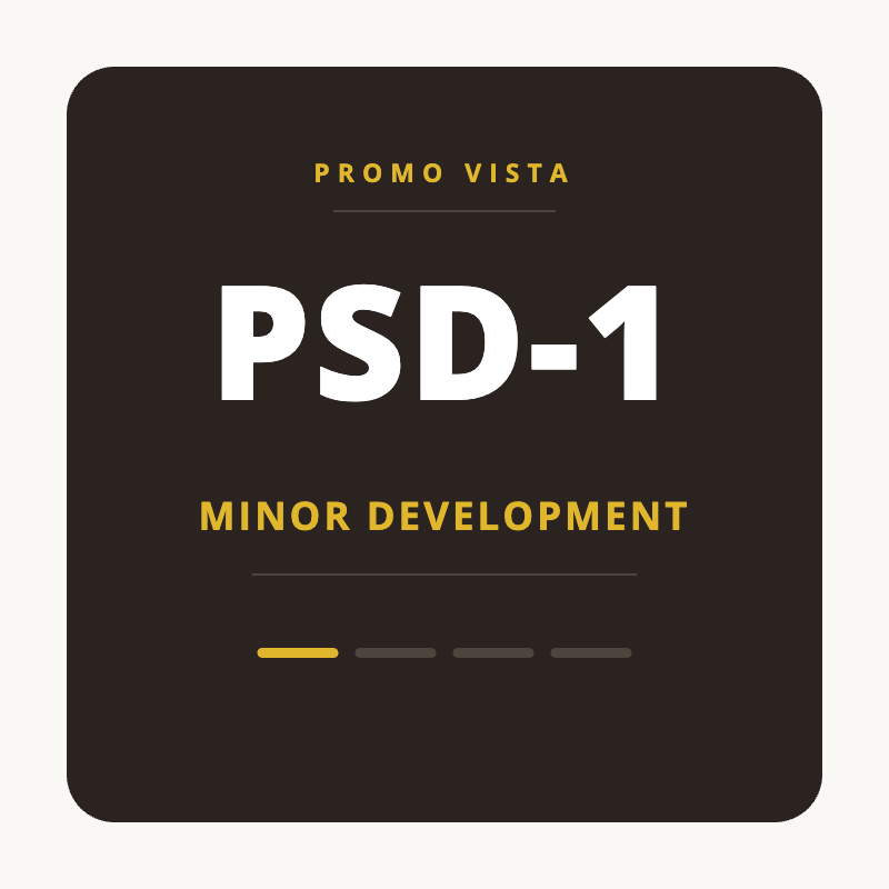 PSD-1 — Minor Development — Project Setup & Development