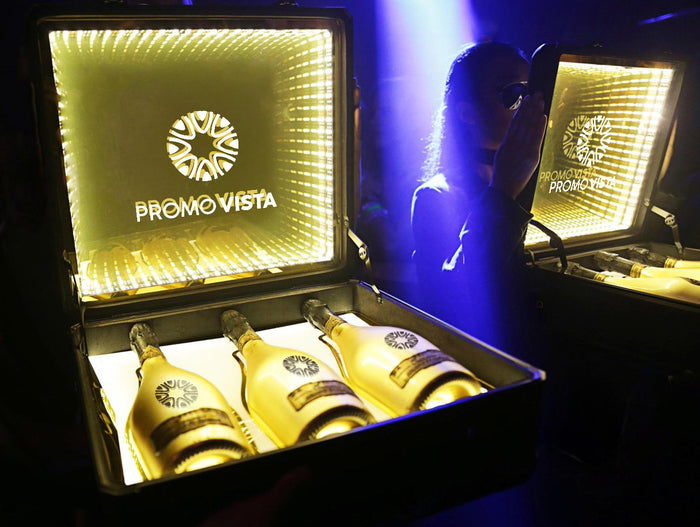 Custom LED Bottle Glorifier VIP Carry Case | Promo Vista