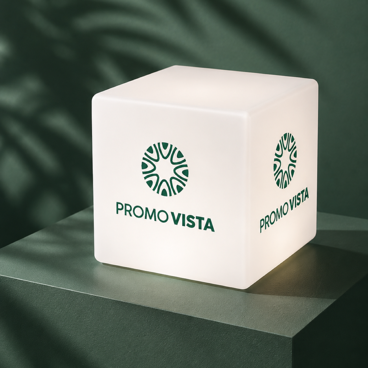 Promo Vista branded LED display cube