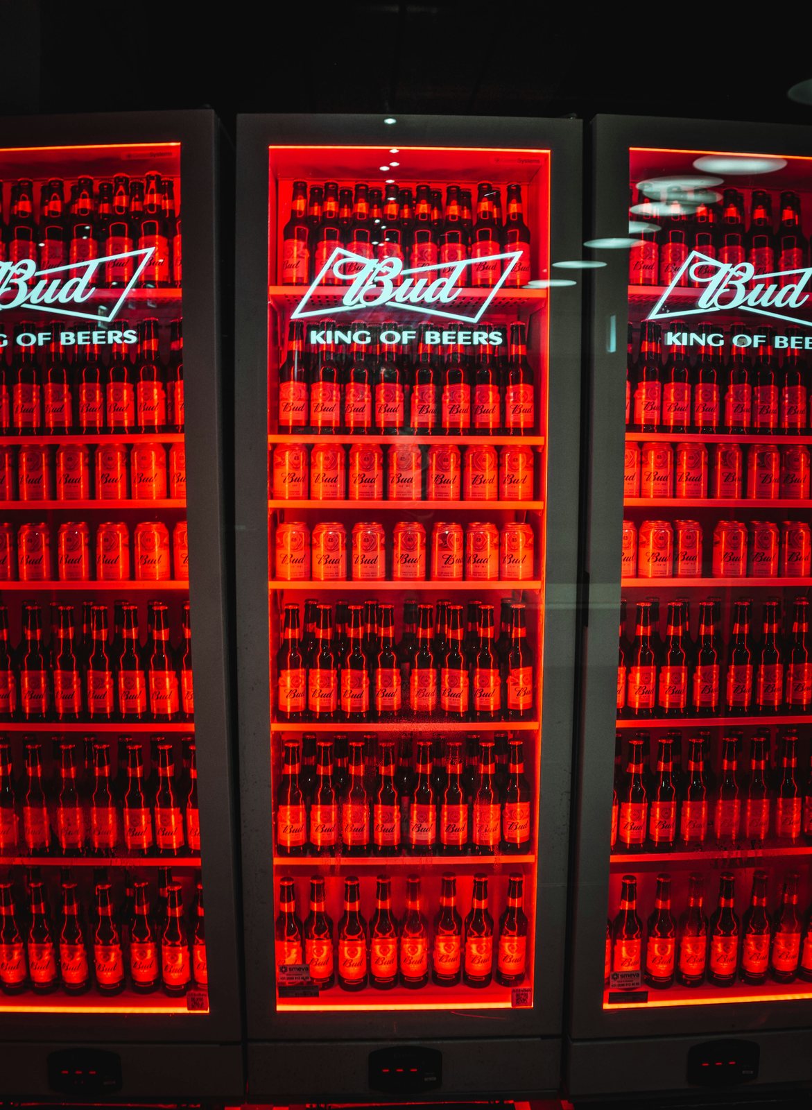 Neveras expositoras Bud con llamativa iluminación de marca